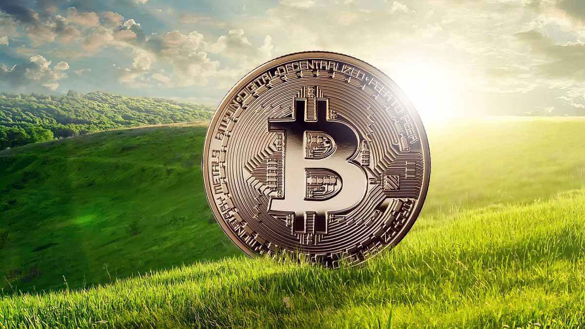 Environmental impacts of cryptocurrency chinese companies investing in the united states