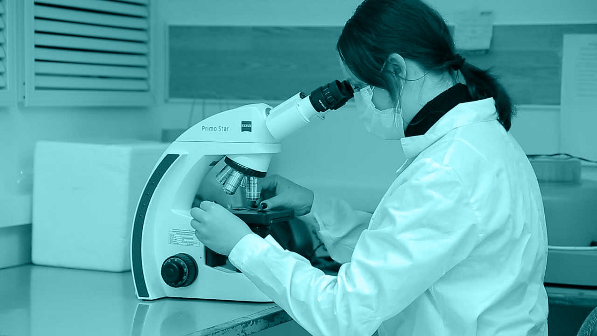 Pharmaceuticals-and-biotechnology